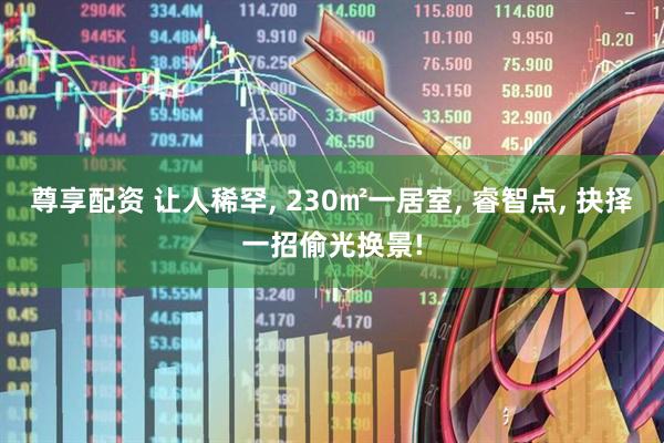 尊享配资 让人稀罕, 230㎡一居室, 睿智点, 抉择一招偷光换景!